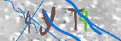 キャプチャ画像